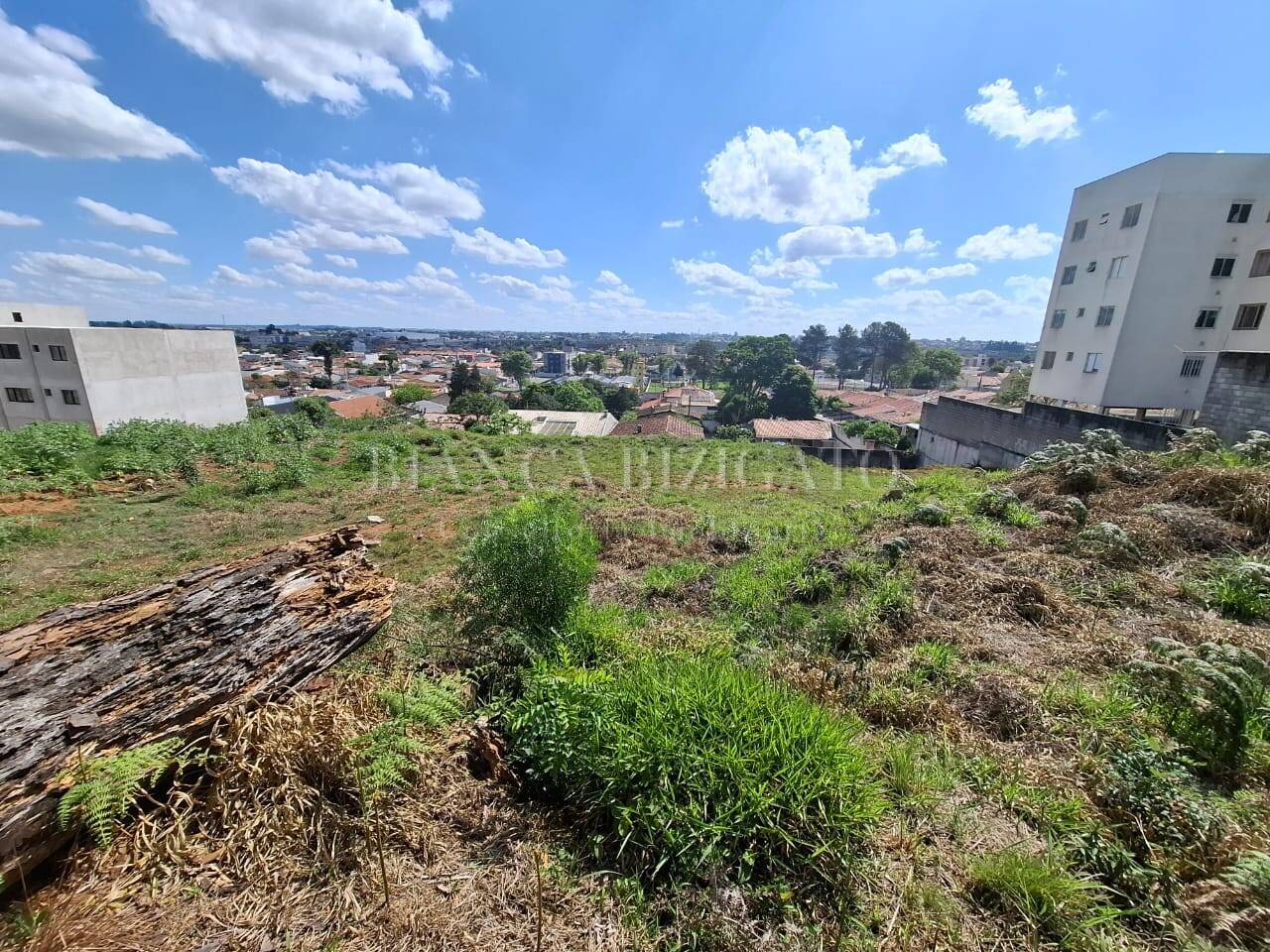 Terreno à venda, 6000m² - Foto 2