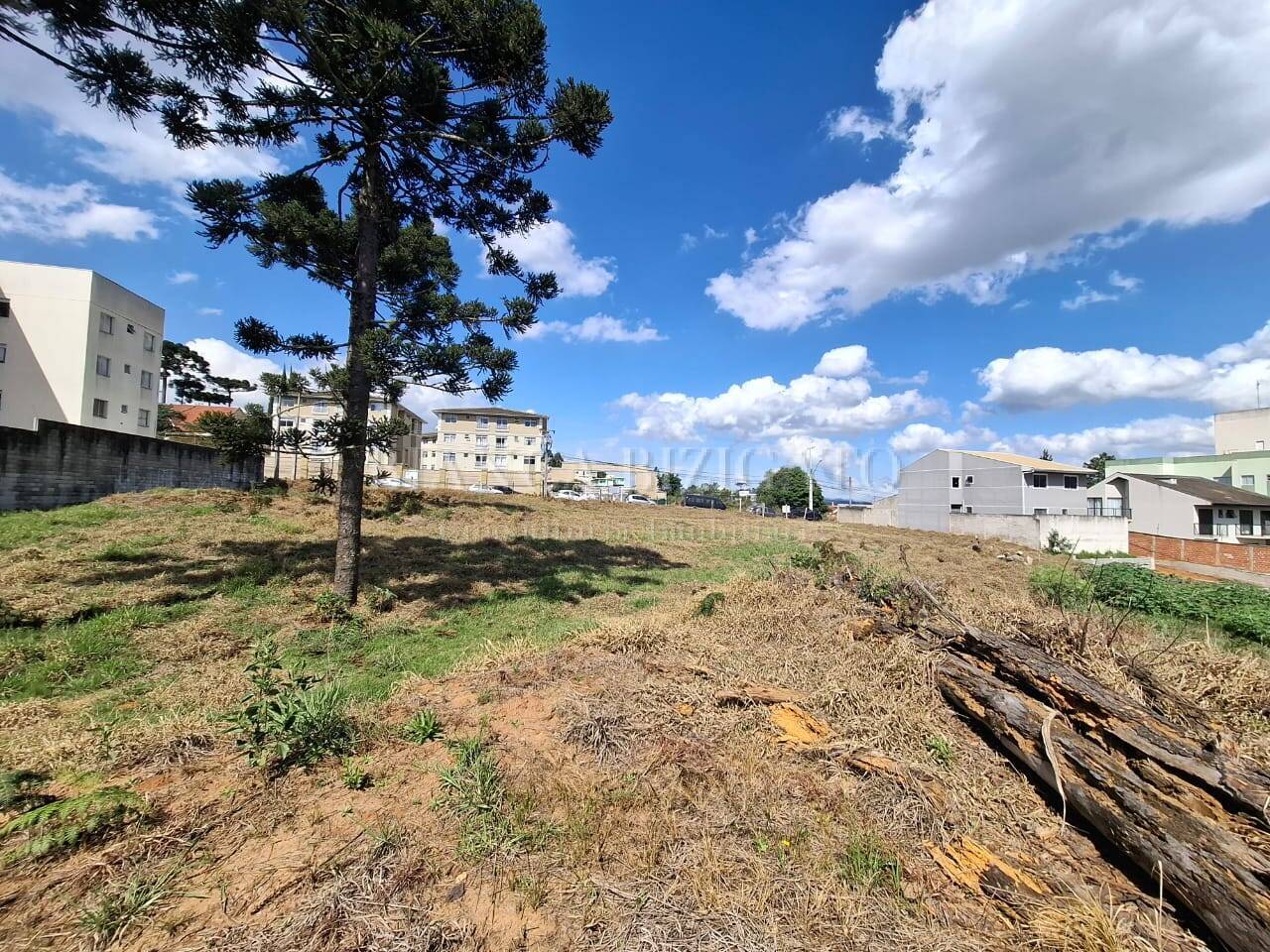 Terreno à venda, 6000m² - Foto 1