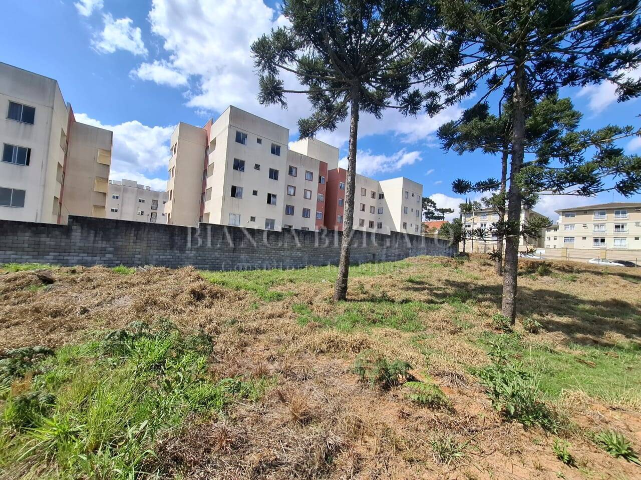 Terreno à venda, 6000m² - Foto 6